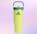 Minnie Iceflow Tumbler