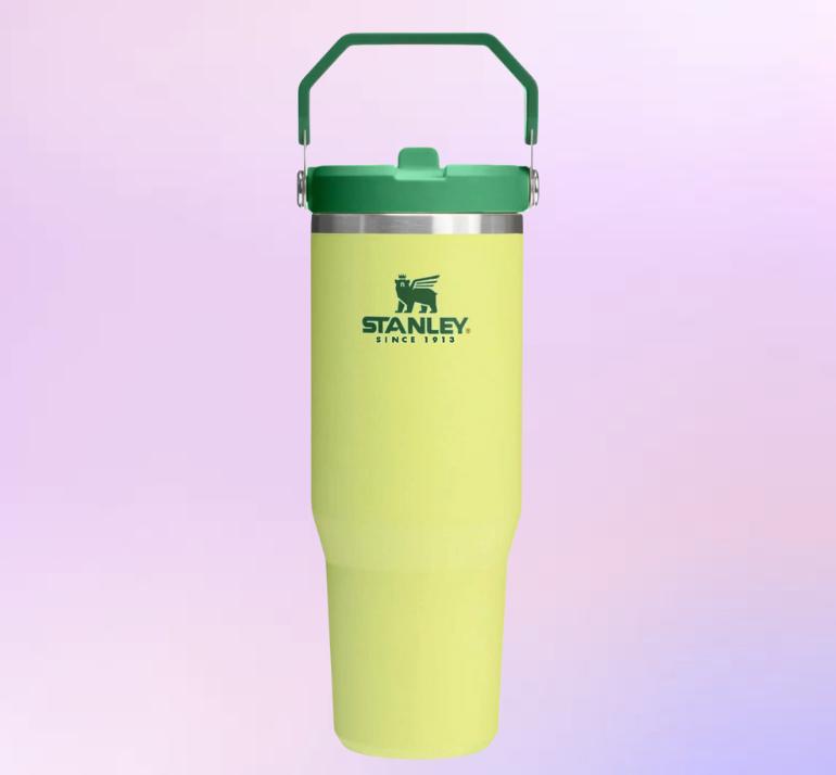 Minnie Iceflow Tumbler