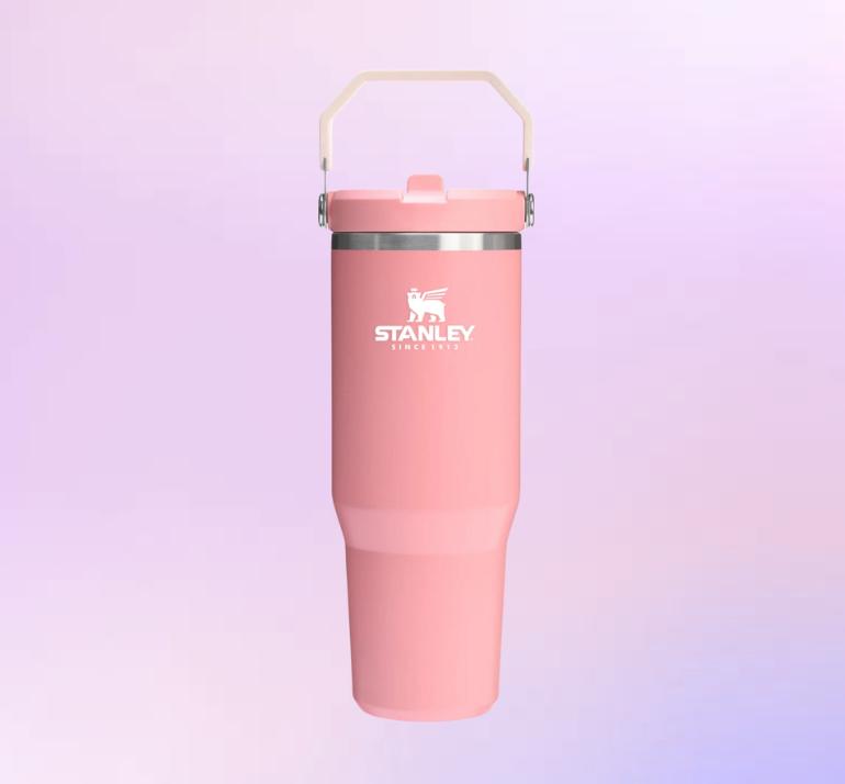 Minnie Iceflow Tumbler