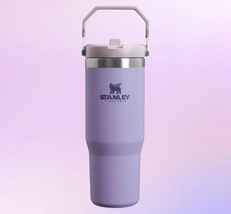 Minnie Iceflow Tumbler